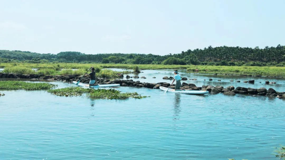 千古流传：神秘的属相三合、六冲知识，不得不看！