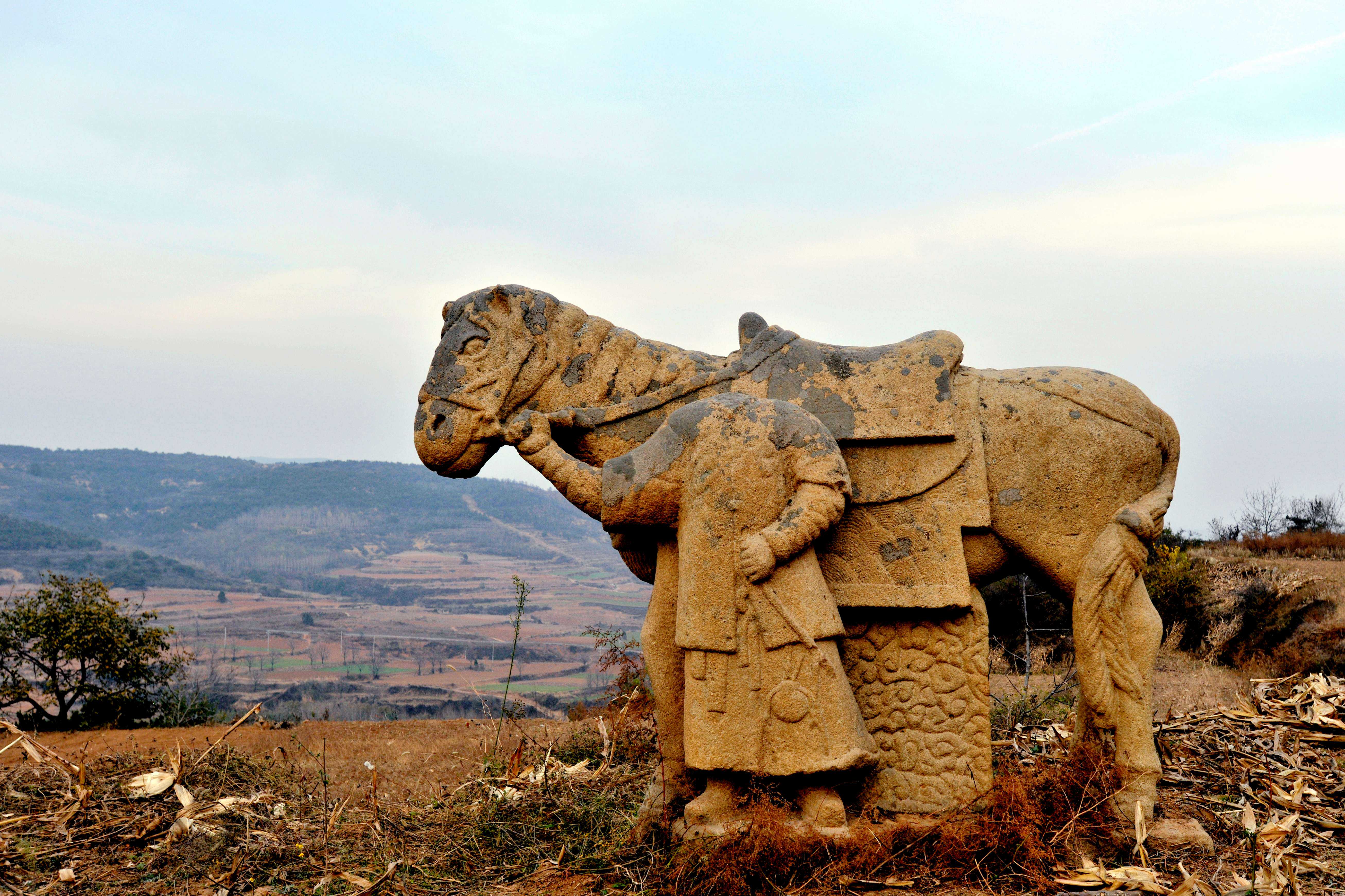 运气让我治好了脑梗塞