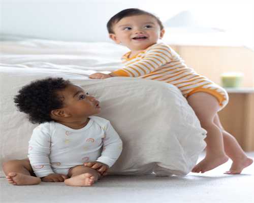 十二生肖春季健康调养与运势提升秘诀：2025年必知养生宝典