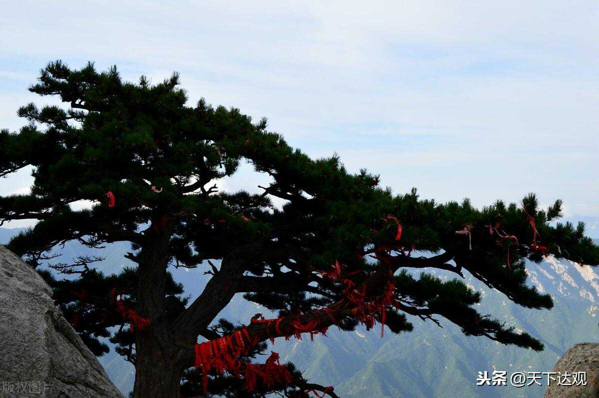 一个人开始转运的几大征兆，有一个好日子就来了（深度）