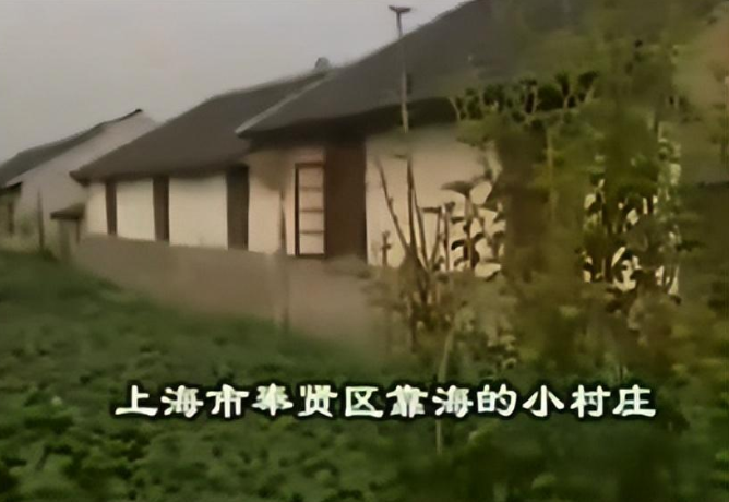 「解惑」左眼跳财，右眼跳灾！真的是这样吗？