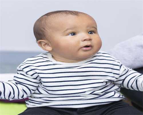 属狗人在狗月运势，属狗这月运势如何