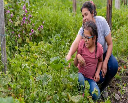 巨蟹座5月运势大揭秘：挑战与机遇并存