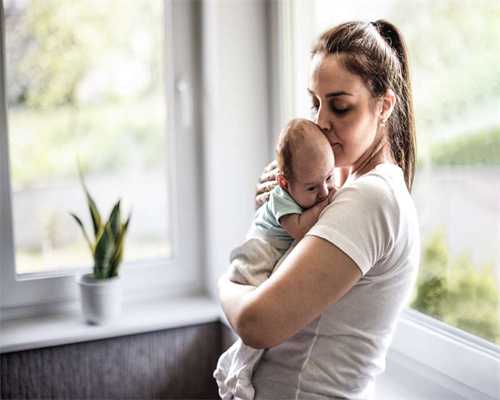 【心理测试】4片树叶选择一片最好看的，测你最近有什么好运气?